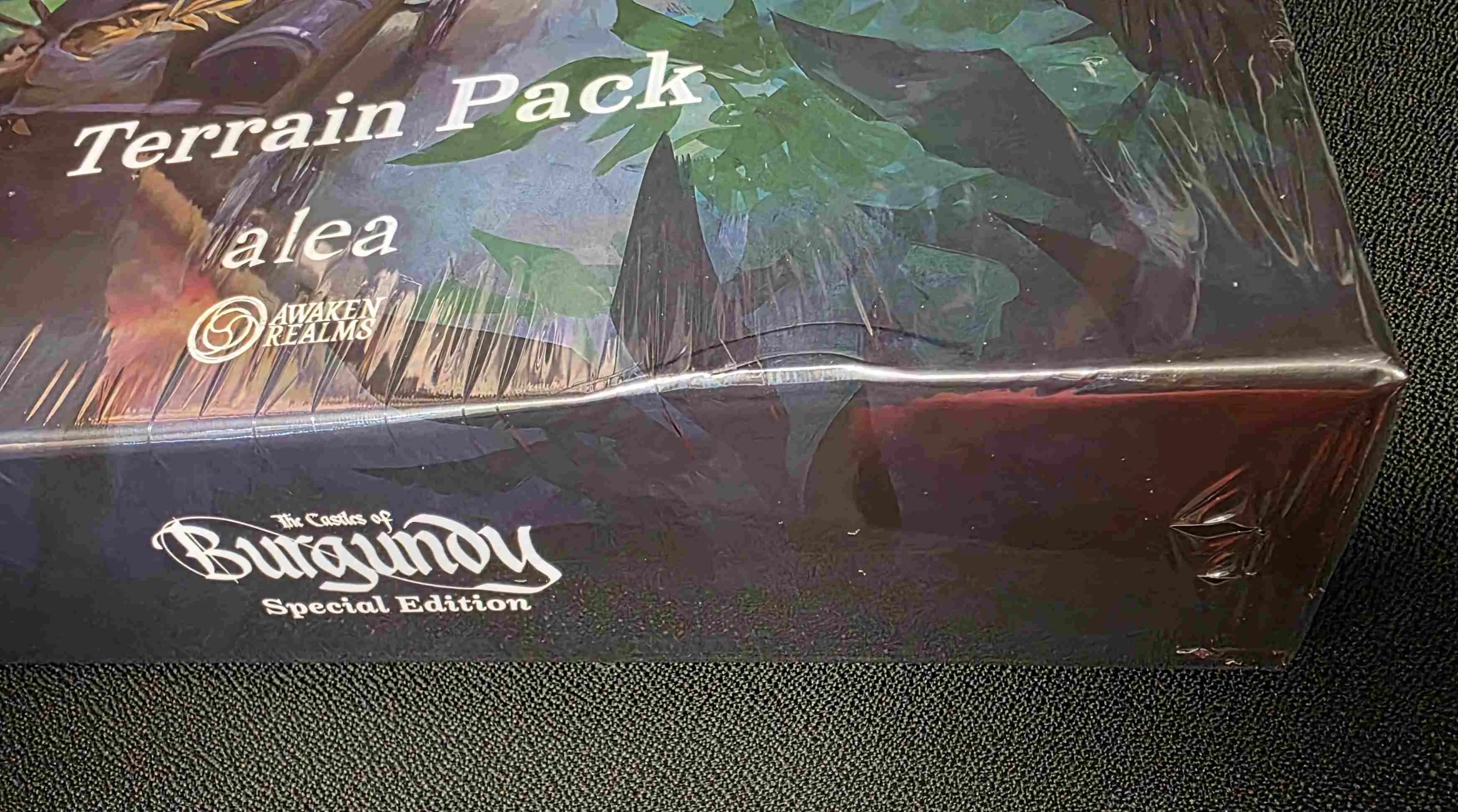 Castles of Burgundy Special Edition 3D Terrain Pack - damaged box